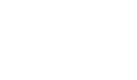 Accessible festivals
