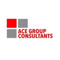Ace group consultants llc