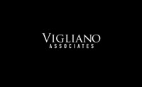 Agi vigliano literary llc