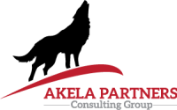 Akela partners consulting group