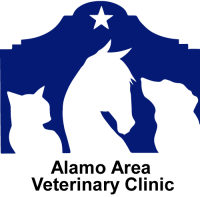 Alamo area veterinary clinic