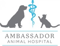 Ambassador veterinary hospital