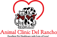 Animal clinic del rancho