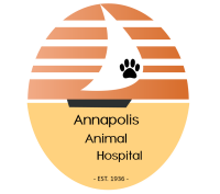 Annapolis animal hospital