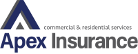 Apex insurance agency intl inc