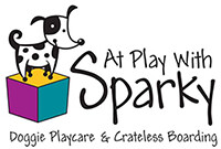 At play with sparky doggie