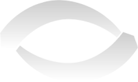 Automated vision, llc