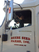 Beebe seed farms