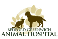 Bedford greenwich animal hospital