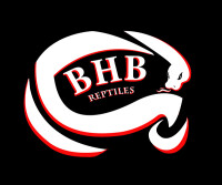 Bhb reptiles