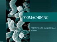Bio machining, inc.