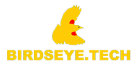 Birdseye technical services, inc.