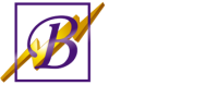 Bisel manufacturing llc