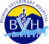 Bishop veterinary hospital