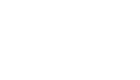 Bizkit havas