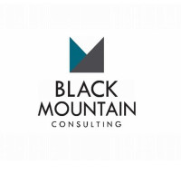 Black mountain consulting llc