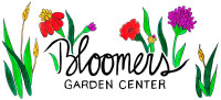 Bloomers nursery