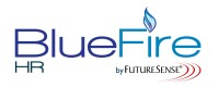 Bluefire consulting
