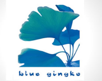 Blue gingko