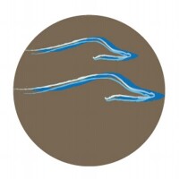 Blue goose, inc