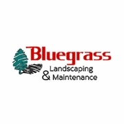 Bluegrass maintenance