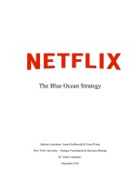 Blue ocean logic, inc.