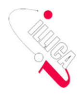 Illica group