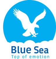 Bluesea group