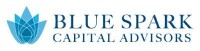 Blue spark capital advisors