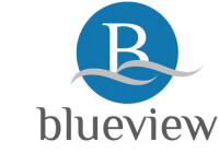 Blueview realty