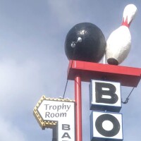 Bonwood bowl