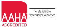 Boonsboro veterinary hospital