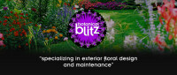 Botanical blitz