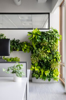 Botanika interior plantscapes