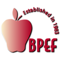 Bridgeport public education fund
