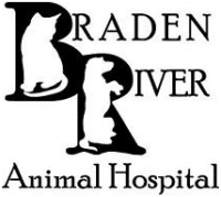 Braden river animal hospital