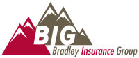 Bradley agency llc