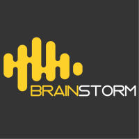Brain storm consult ltd