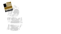 Brandenburg drainage inc