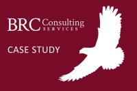Brc consulting, inc