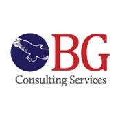 Bg consulting services