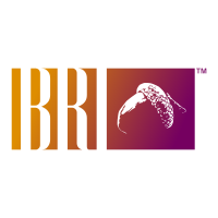 Bri consulting group