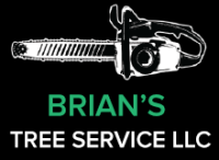 Brians tree service