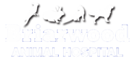 Briarwood veterinary hospital