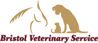 Bristol veterinary service sc