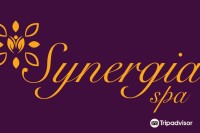 Synergia s.p.a.