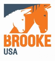 Brooke usa