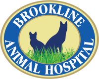 Brookline animal hospital