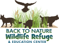 Back to nature wildlife refuge
