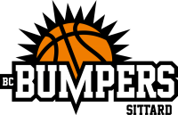 Bumpers billiards